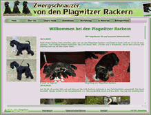 Tablet Screenshot of plagwitzer-racker.de